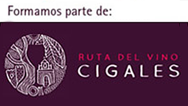 Home Rutal del Vino de Cigales